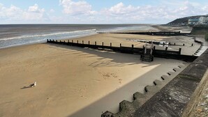 Une plage avec une promenade en bois menant à une jetée, un chien sur le sable et un ciel dégagé.