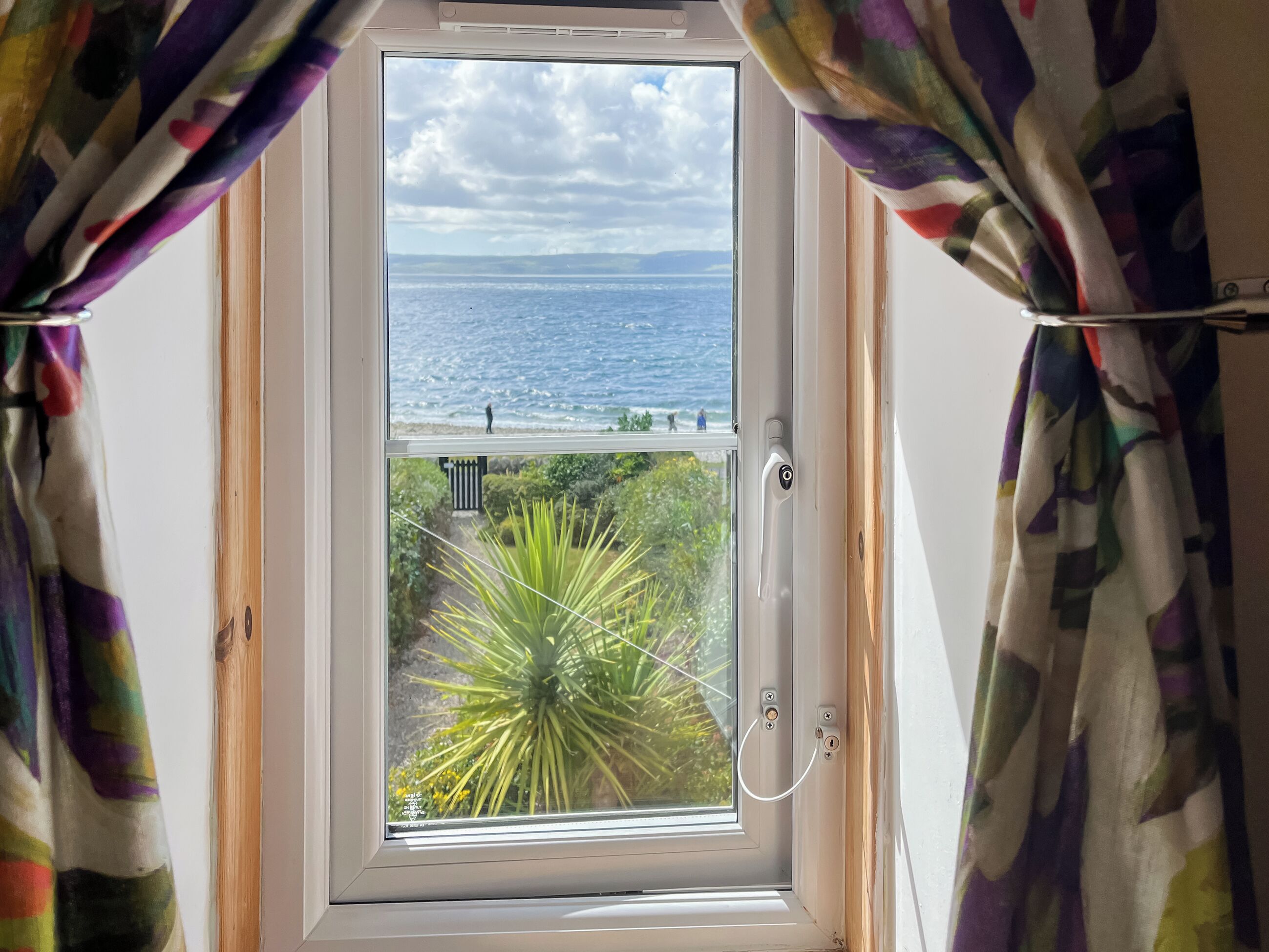 A window with a view of the sea and a plant inside.