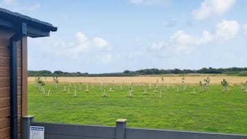 A view of a green field with young trees, a wooden fence, and a building with a sign.