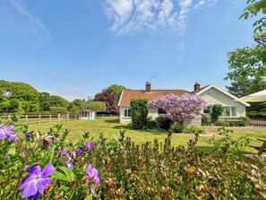 Área da propriedade