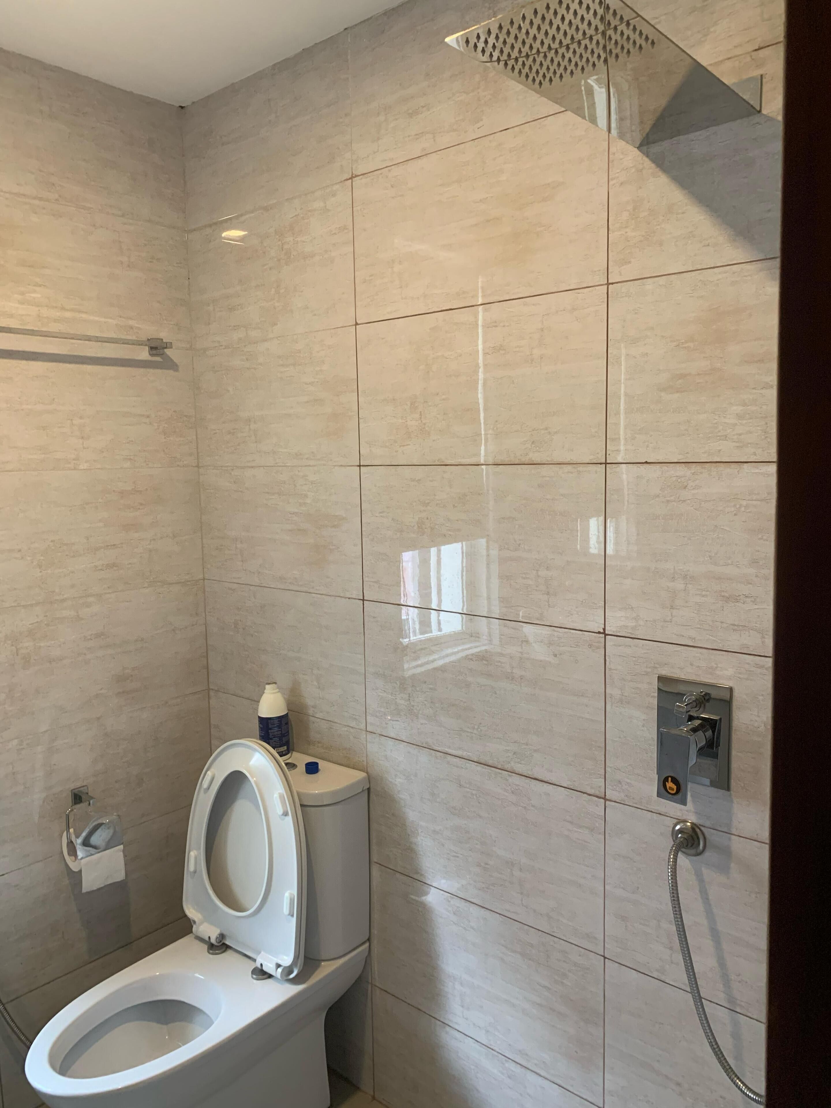 A modern bathroom with a toilet, a shower, and a towel rack.