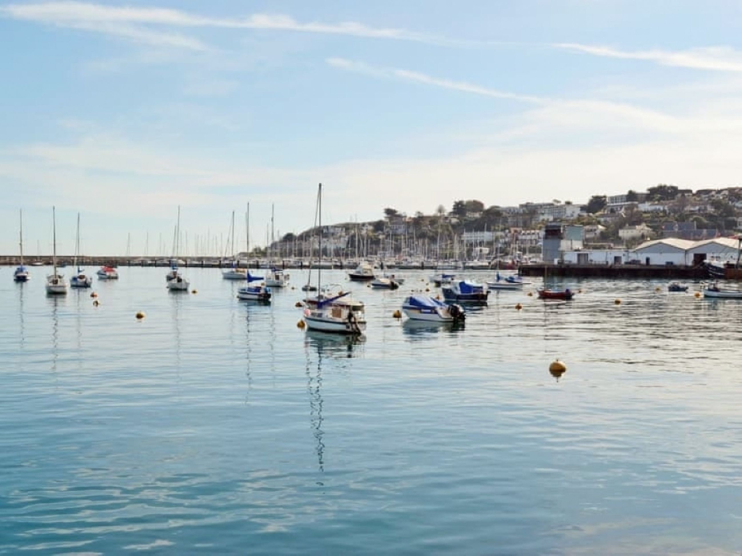 A marina with various boats docked, calm water, and a town in the background.