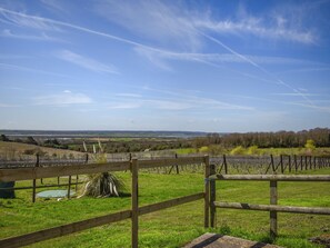 A vineyard with a wooden fence in the foreground and a clear blue sky in the background. - 2 bedroom accommodation in Althorne, near Chelmsford (Althorne, near Chelmsford)