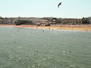Fishing - Sea Haven is a one bedroom apartment in Paignton, just steps from the seafront. (Paignton)