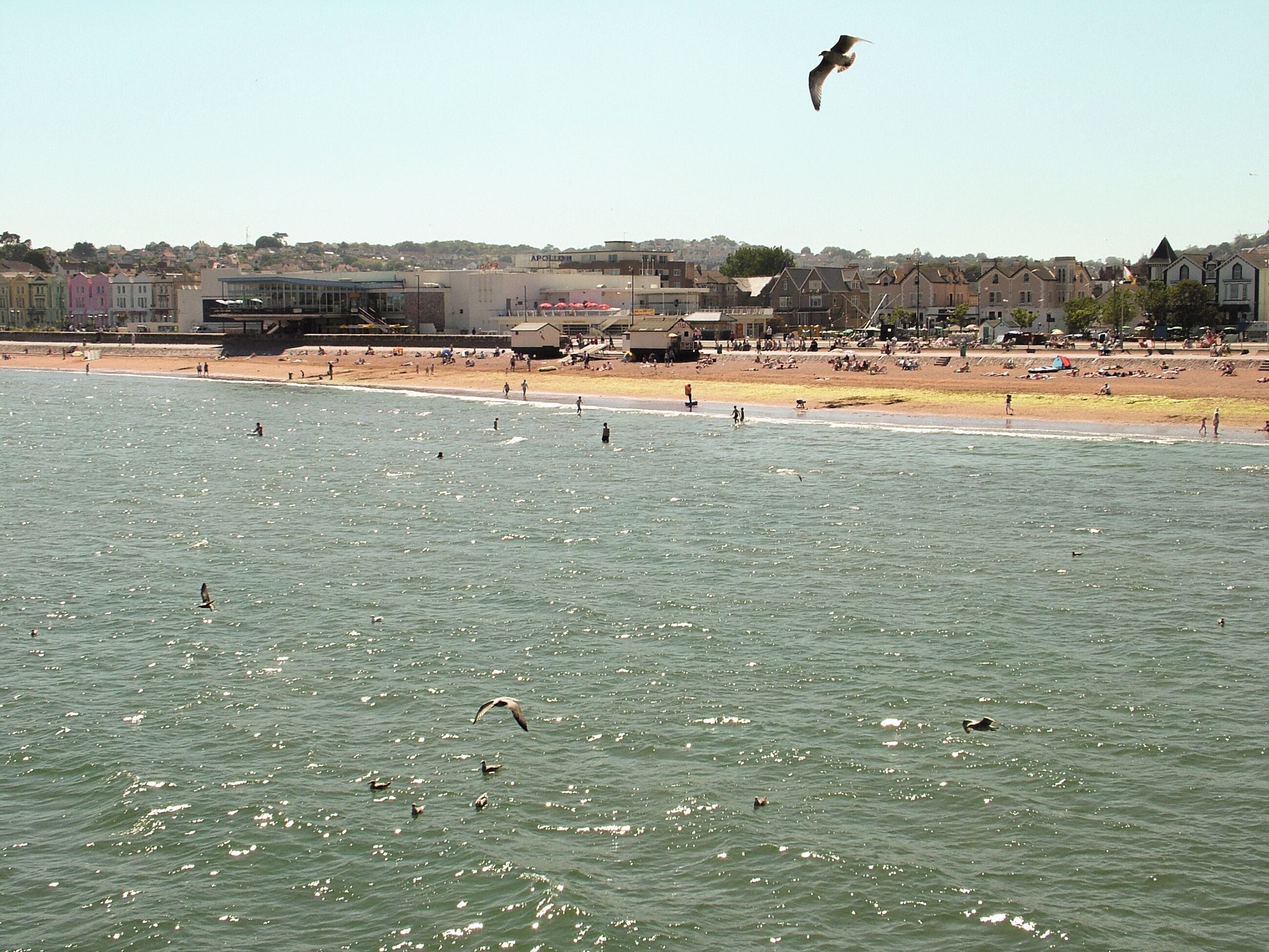 Pêche sur place