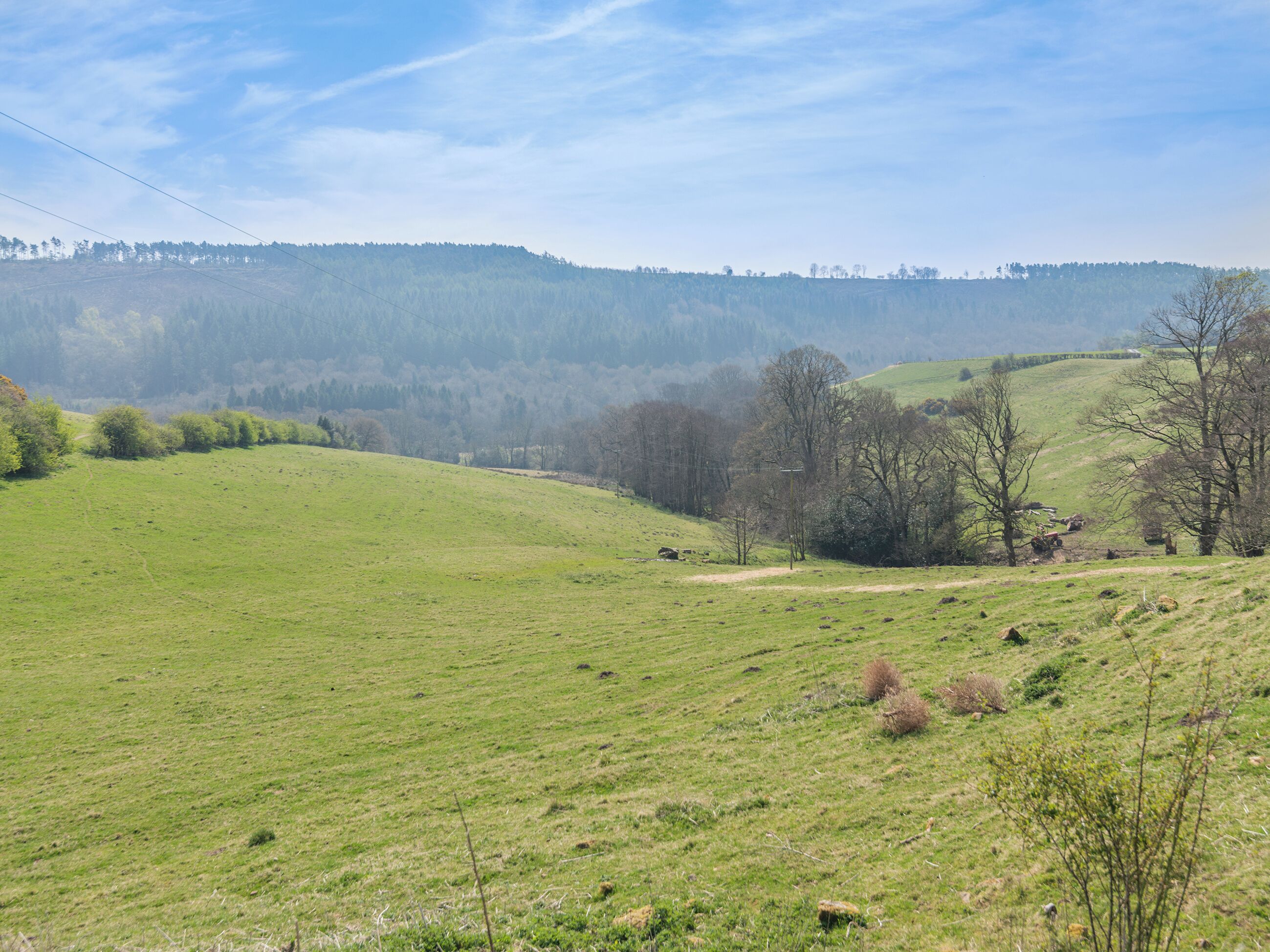 Un champ verdoyant, avec une colline en arrière-plan et un ciel dégagé.