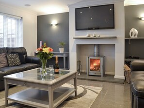 TV, fireplace - 6 bedroom accommodation in Llanon, near Aberaeron (Llanon, near Aberaeron)