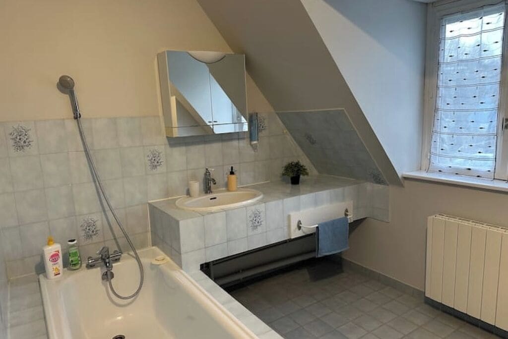 Secadora de cabello, toallas, jabón, papel de baño 