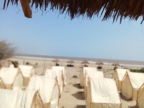 Una playa con tiendas de campaña y sombrillas.