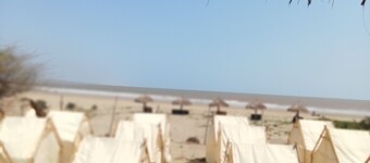 巴巴勞海灘度假村背包客及帳篷酒店  