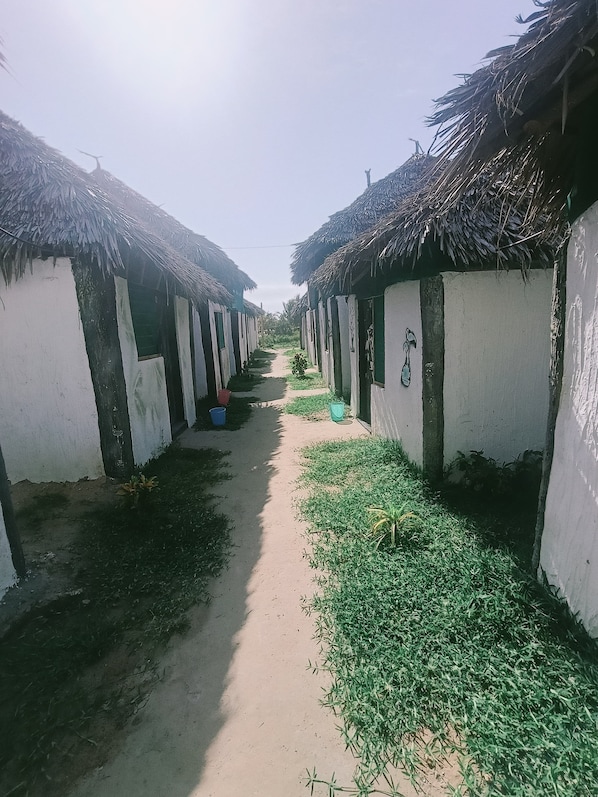 Un sentier étroit bordé de petites huttes aux toits de chaume, aux murs blancs et aux portes vertes.