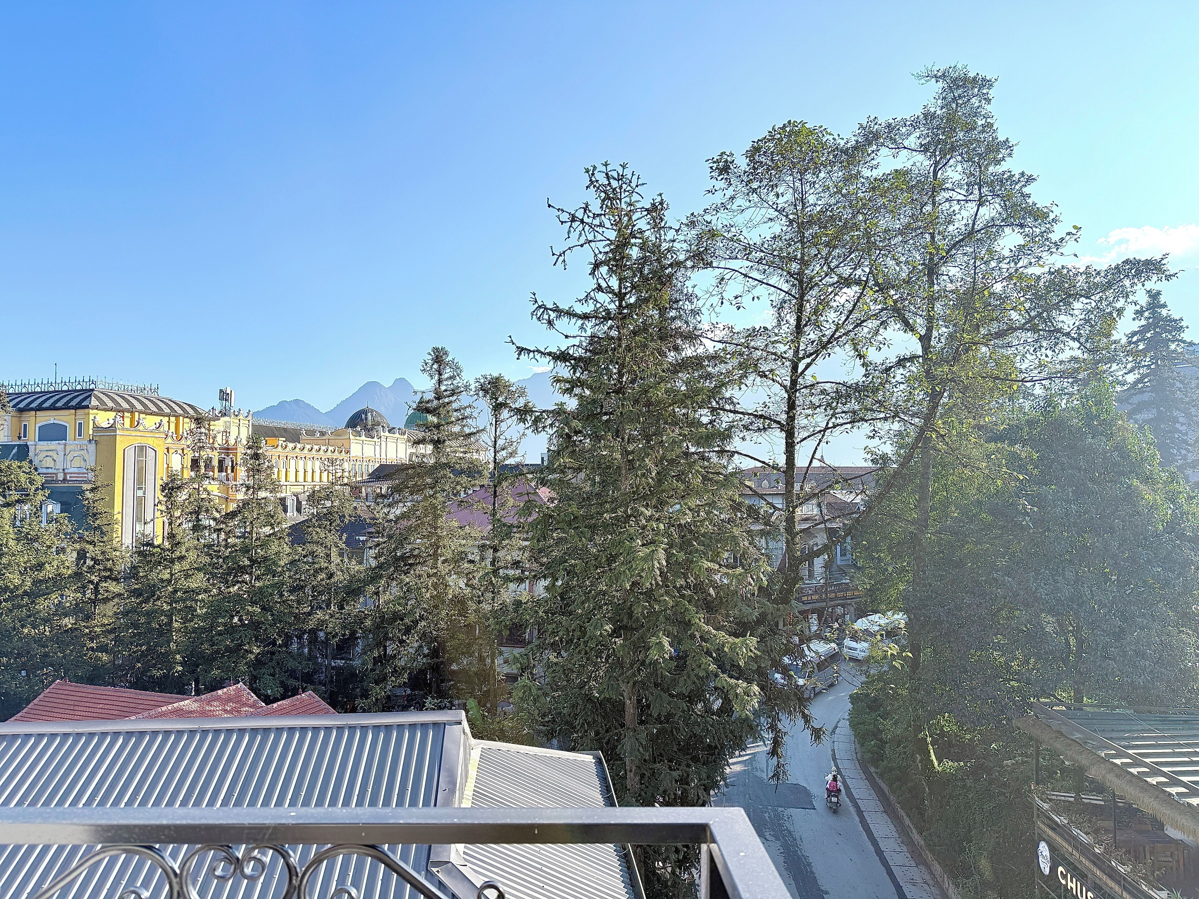 Une vue d’un bâtiment à la façade jaune, avec un grand arbre au premier plan.
