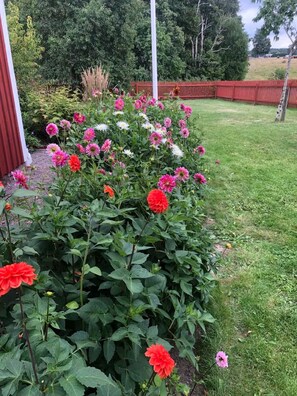 Área da propriedade