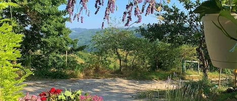 Studio, 1 slaapkamer, roken, balkon | Tuin