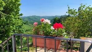 Un balcon doté d’une balustrade en métal, offrant une vue panoramique sur un paysage verdoyant avec des collines et un ciel dégagé.