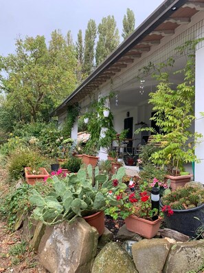 Estudi, 1 dormitori, fumadors, balcó | Jardí