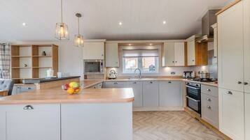 Fridge, oven, stovetop, toaster