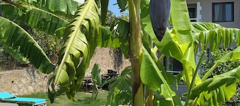 Seaview 3-bedroom villa with private pool, barbeque and fire pit