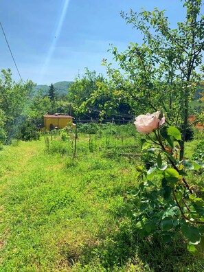 Apartment, 1 Bedroom, Smoking | Exterior - Mini Apartment in a Farm House on the High Hills Near Gubbio (Gubbio)