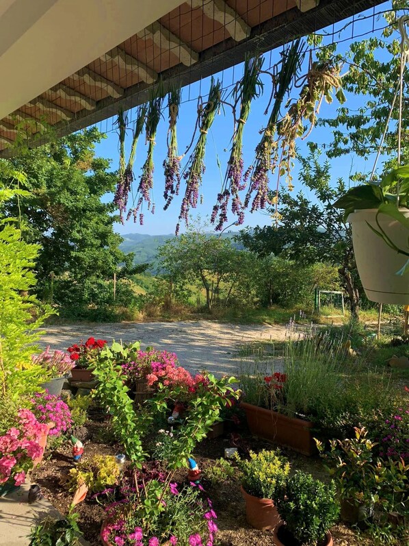 Apartment, 1 Bedroom, Smoking | Garden - Mini Apartment in a Farm House on the High Hills Near Gubbio (Gubbio)