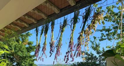 Mini Apartment in a Farm House on the High Hills Near Gubbio