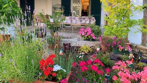 A garden with various potted plants and flowers, a bench, and a table with a tablecloth. - Mini Apartment in a Farm House on the High Hills Near Gubbio (Gubbio)