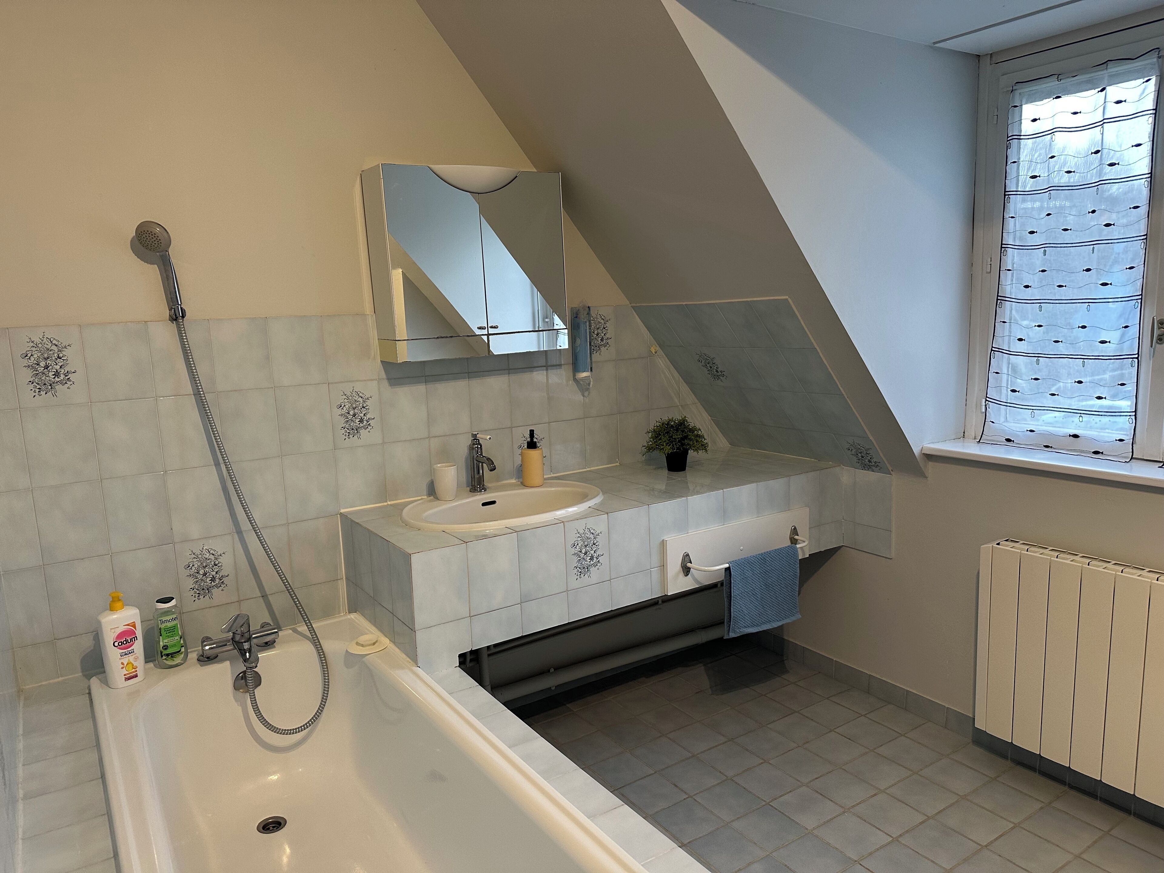 Hårtork, handdukar, tvål och schampo