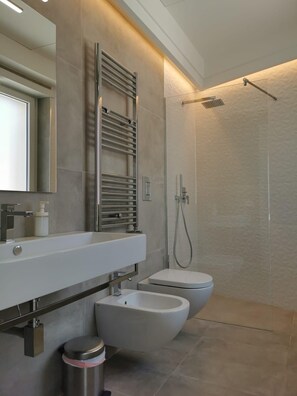 Shower, hair dryer, bidet, towels