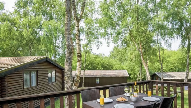 Eine Holzdielen-Terrasse mit einem für ein Frühstück gedeckten Tisch, umgeben von Birkenbäumen.