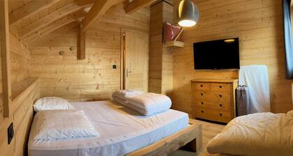 Chalet 10/12 persons St sorlin les sybelles ski