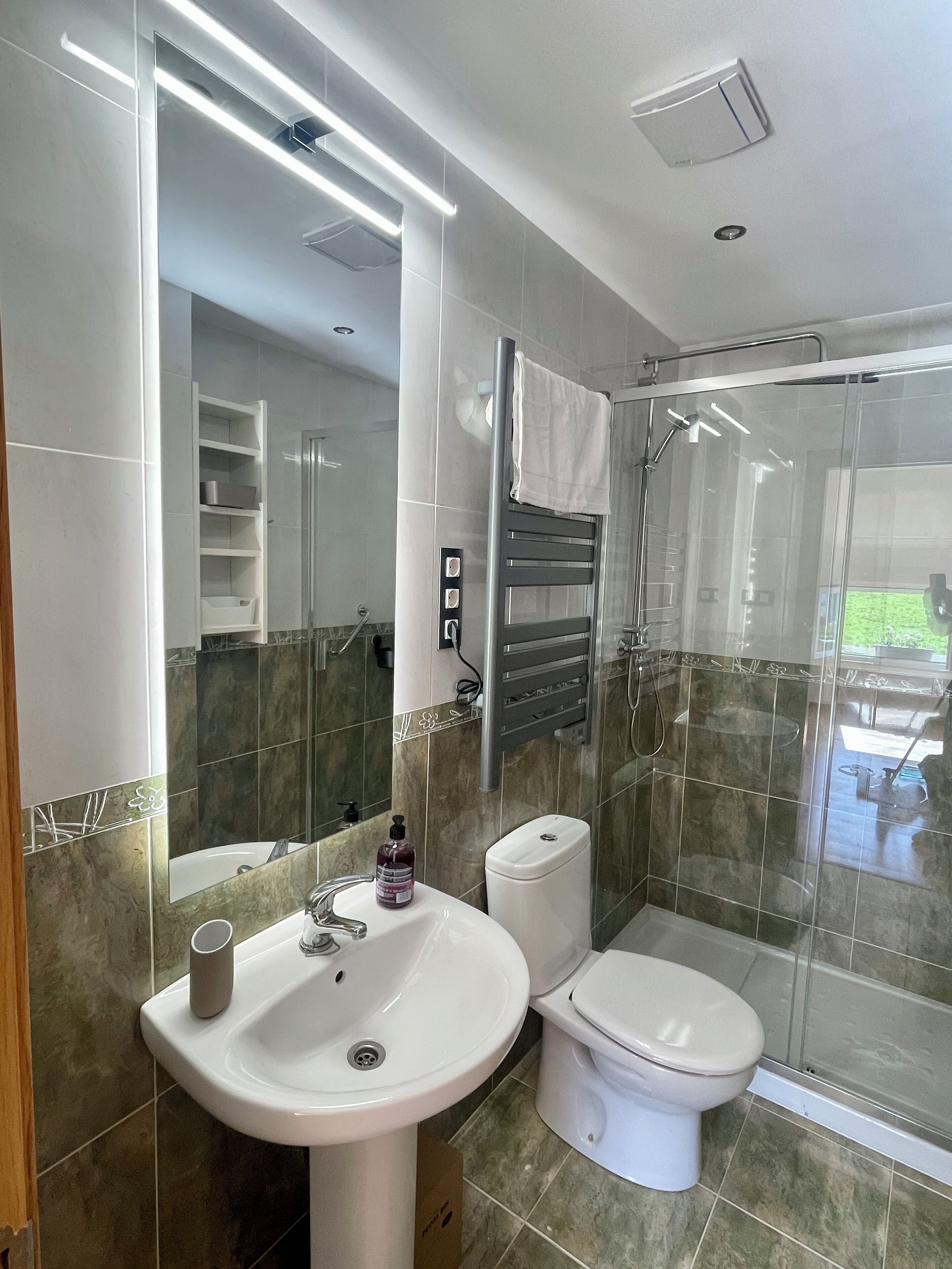 Shower, hair dryer, bidet, towels
