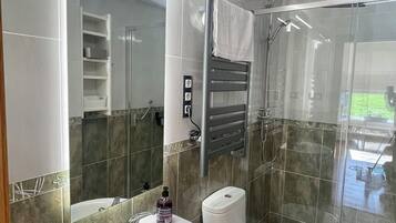 Shower, hair dryer, bidet, towels