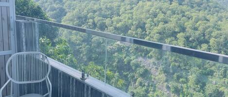 ファミリー ルーム | バルコニーからの眺望