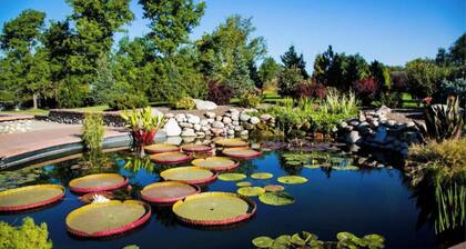 Heart of Downtown | City Views | Deck + BBQ