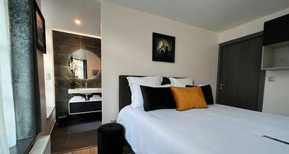 Maison Hyper Centre Vue sur le Beffroi 3 chambres 3 Salles de Bain & 3 WC