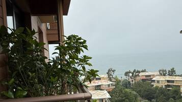 Chambre Confort, balcon, vue plage | Enceinte de lâhĂ©bergement