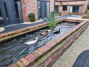 Property grounds - Chapel Farm BNB (Wellow)