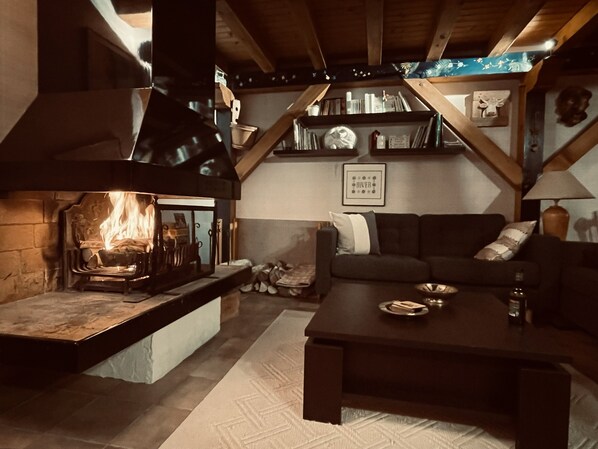 TV, fireplace, DVD player, books