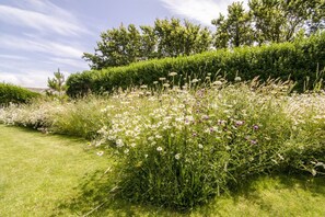 Un jardin agrémenté de diverses fleurs et de haies verdoyantes.