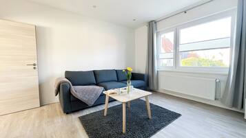 Fernseher, Stereoanlage