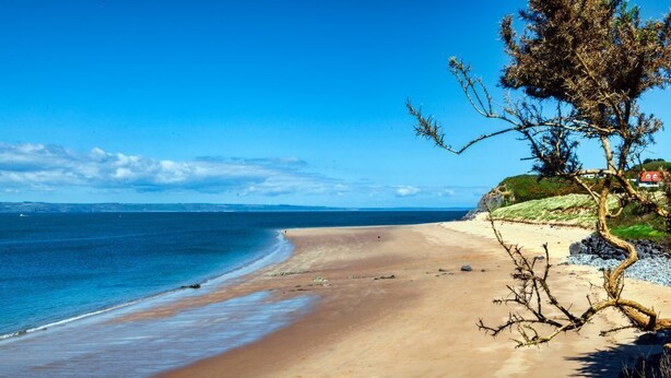 Une plage avec une eau d’un bleu limpide, un rivage sablonneux et un arbre sur la droite.