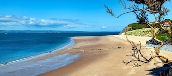 5* Woodland Lodge with covered hot tub, dog friendly, golf, close to beach