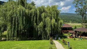 A serene landscape with a large weeping willow tree, a rustic wooden structure, and a clear sky. - Awesome 6-bedroom cabin in adorable Darmanesti perfect for group getaways (Dărmănești.)