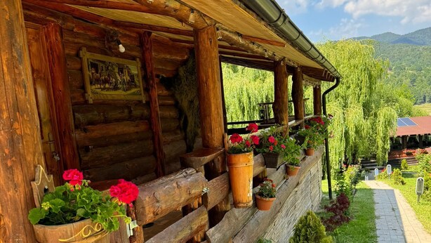 A rustic wooden cabin with a porch, potted plants, and a view of the surrounding landscape. - Awesome 6-bedroom cabin in adorable Darmanesti perfect for group getaways (Dărmănești.)