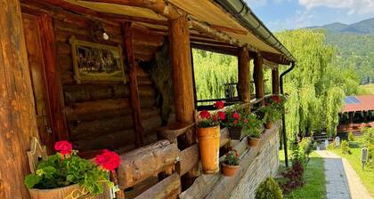 Awesome 6-bedroom cabin in adorable Darmanesti perfect for group getaways