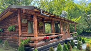 A rustic log cabin with a porch, surrounded by a garden with small trees and potted plants. - Awesome 6-bedroom cabin in adorable Darmanesti perfect for group getaways (Dărmănești.)