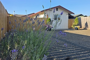 A residential area with a house, a wooden fence, and a garden with lavender plants. - Brand-new Sequim Escape: A/c, Fire Pit, Grill (Sequim)