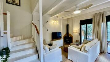 Televisión, chimenea