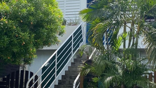 A staircase leading to a building with a white exterior and a large tree on the left. - Air-Conditioned Apartment with Parking in Saint-Gilles (Saint-Gilles les Bains)