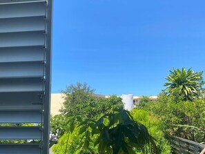 Property grounds - Air-Conditioned Apartment with Parking in Saint-Gilles (Saint-Gilles les Bains)